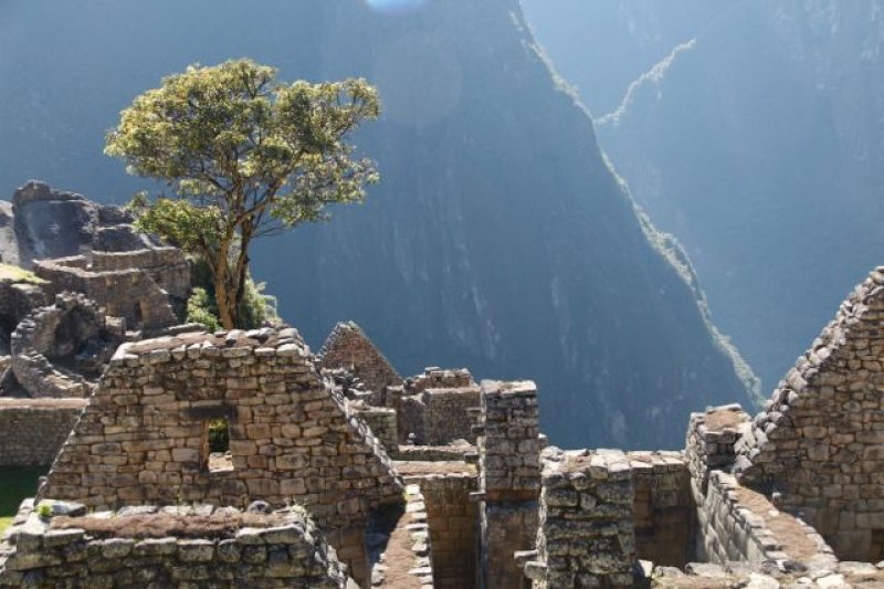 Machu-Picchu-picks-21
