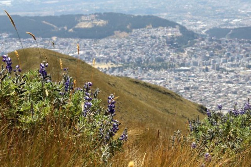 Quito-18